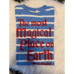 Magic Kingdom Park Stripped Adult T-Shirt